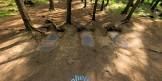Dead Wood - Bois Mort